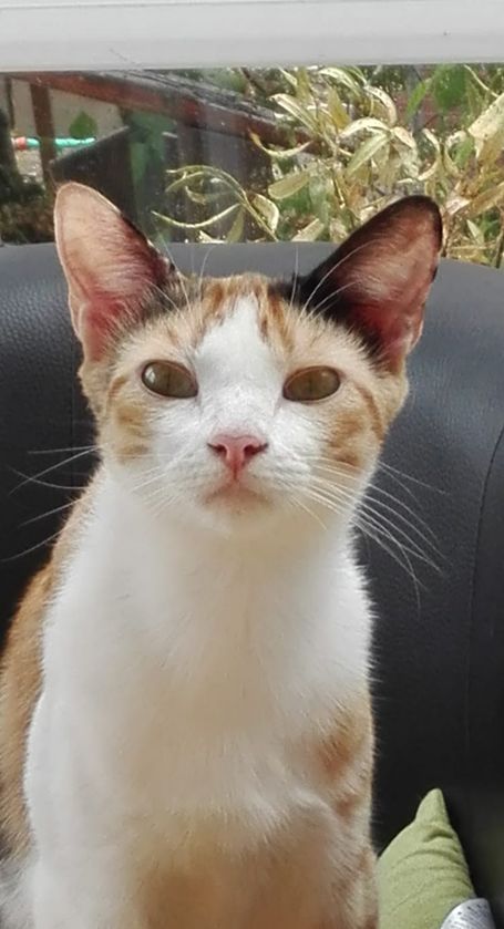 Vera
